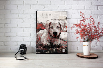 Collage Photo Frame of a Dog Image